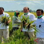 BULOG pastikan stok beras cadangan pemerintah di Sumut mencukupi
