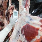 BULOG Pastikan Daging Kerbau Impor dari India Bebas PMK, Ini Buktinya