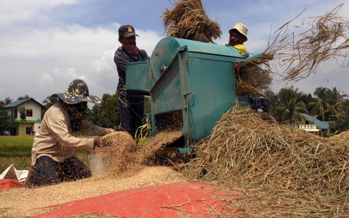 Bulog Sulteng Targetkan Beli Beras Petani 30.800 Ton