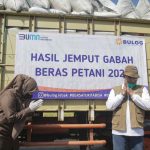 Borong 1 Juta Ton Beras dari Petani, Upaya BULOG Amankan Harga Beras di Tingkat Petani