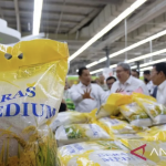 Bulog stabilkan harga dan pasokan beras dengan gandeng Hypermart
