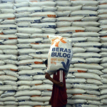 Antisipasi El Nino, Bulog Maksimalkan Penyerapan Beras Petani Lokal