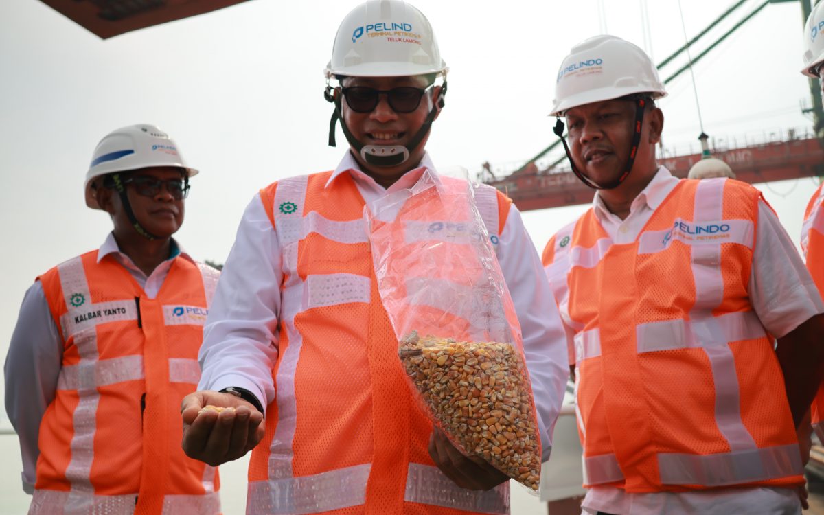 BULOG SEGERA GELONTORKAN JAGUNG PAKAN UNTUK STABILKAN HARGA DI PETERNAK