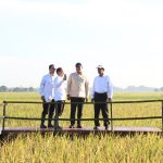Stok BULOG Selama 4 Bulan Capai 3,5 Juta Ton Terbesar Sejak Merdeka