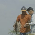 Serapan Tembus 2.000.524 Ton Setara Beras, Stok BULOG Tembus 3,6 Juta Ton