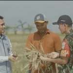 Serapan Tembus 2.000.524 Ton Setara Beras, Stok BULOG Tembus 3,6 Juta Ton