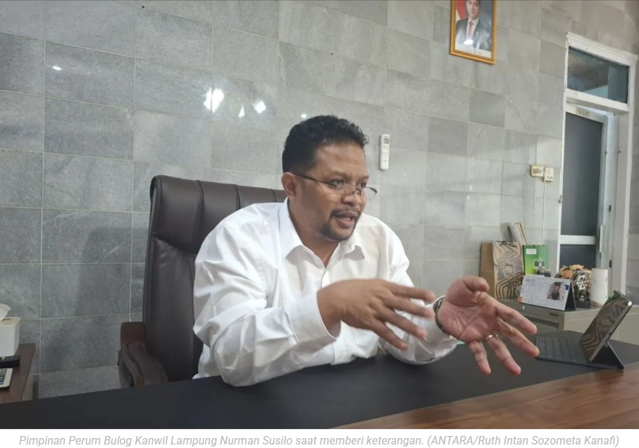 BULOG Lampung telah serap 19 ribu ton jagung kering petani