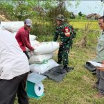 BULOG Cirebon Serap Gabah Beras Terbesar se Nasional