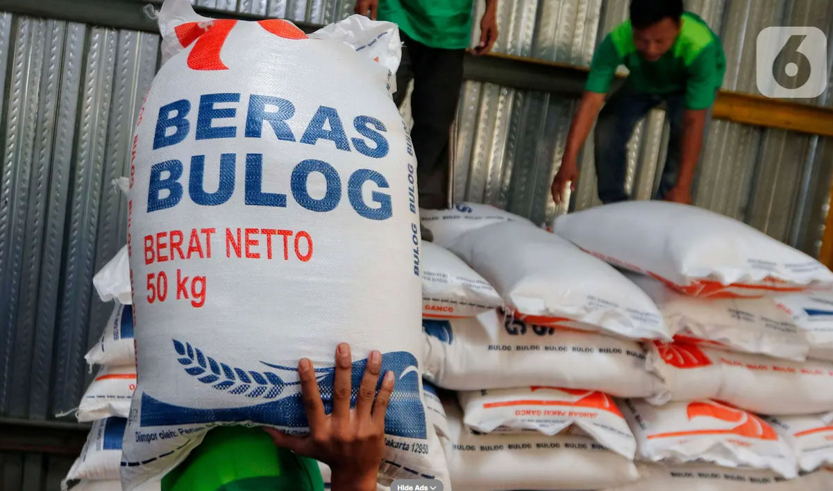 BULOG Salurkan Bantuan Pangan Beras 20 Kilogram Akhir Juni 2025, Daerah Ini Jadi Prioritas