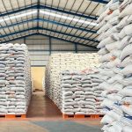 Bulog Siap Salurkan 10.000 Ton Beras Bantuan ke Palestina