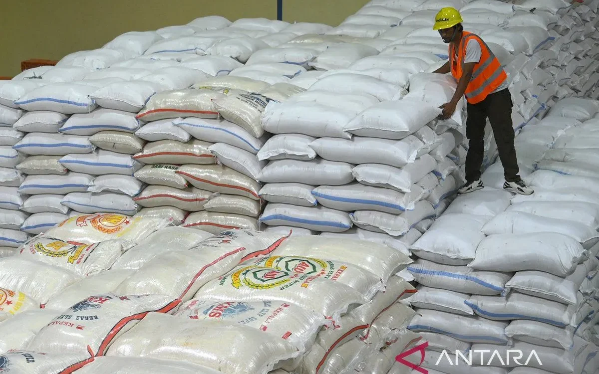 Bulog pastikan kesiapan stok 10 ribu ton beras untuk Palestina