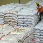 Bulog pastikan kesiapan stok 10 ribu ton beras untuk Palestina