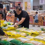 Bulog Sumut salurkan 157 ton beras SPHP ke ritel modern