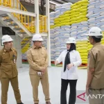 Komisi IV DPR RI sebut stok beras di Bulog Makassar melimpah