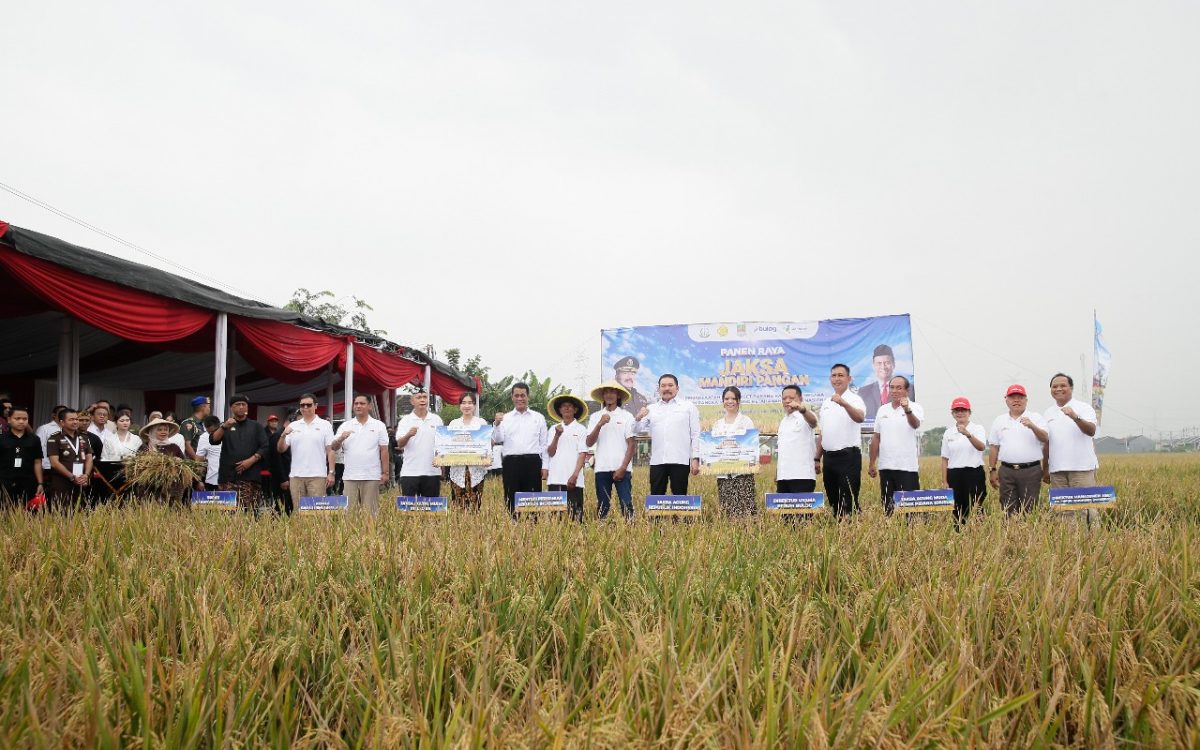 Panen Raya Program Jaksa Mandiri Pangan: Kejaksaan RI dan BULOG Bersinergi Dukung Terwujudnya Swasembada Pangan
