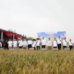 Panen Raya Program Jaksa Mandiri Pangan: Kejaksaan RI dan BULOG Bersinergi Dukung Terwujudnya Swasembada Pangan