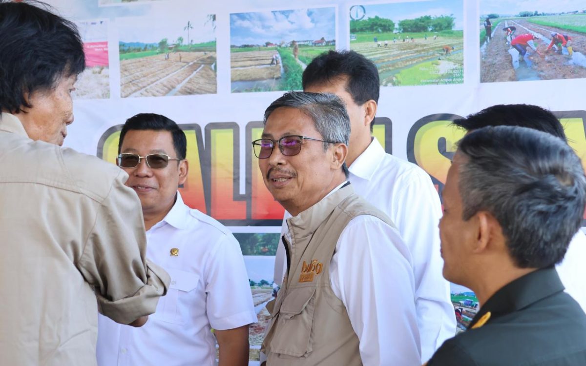 Demi Lindungi Petani dan Jaga Stok Nasional, BULOG Tegaskan Komitmen Serap Gabah