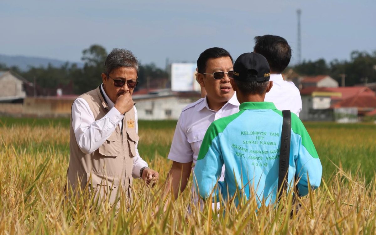 Demi Lindungi Petani dan Jaga Stok Nasional, BULOG Tegaskan Komitmen Serap Gabah