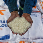 Penyerapan Beras Bulog Kanta Bulungan Lampaui Target