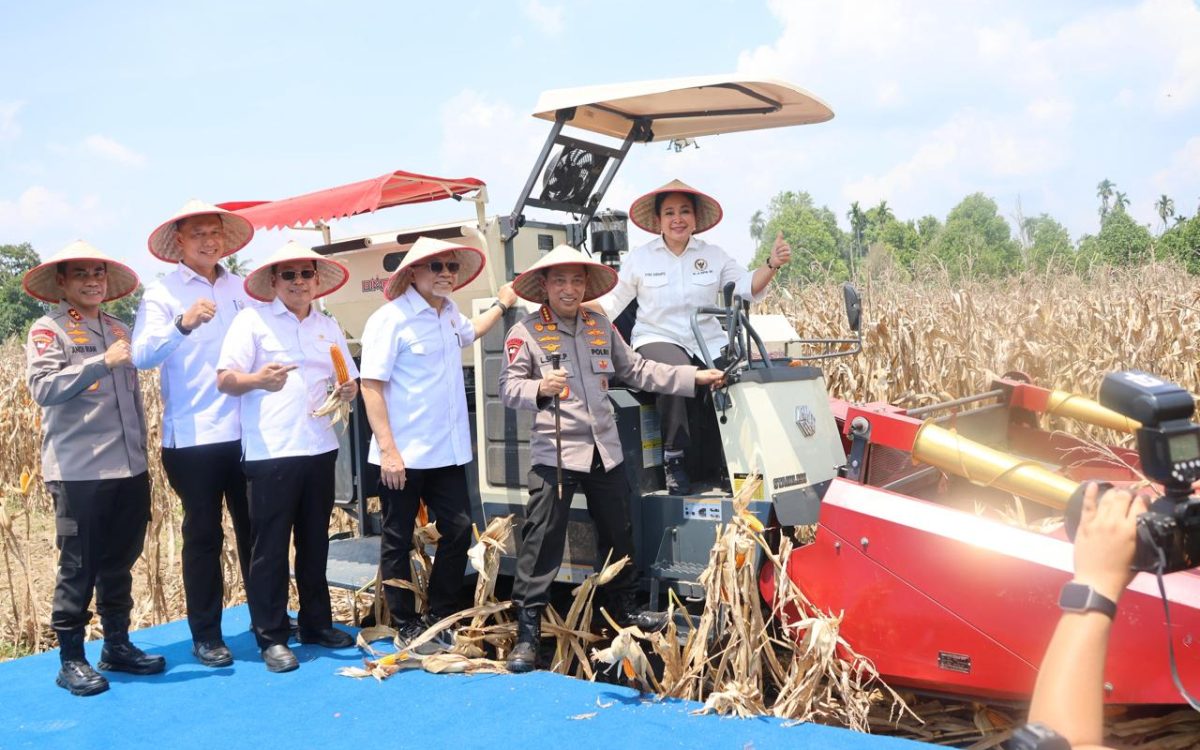 Menuju Swasembada Pangan, BULOG Serap Jagung Hasil Tanam POLRI