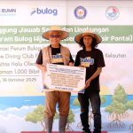 BULOG Tanam 1.000 Bibit Mangrove di Sulawesi Tenggara