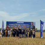 Bulog Terapkan Teknologi Pertanian Modern di Karawang, Produktivitas Padi Meningkat