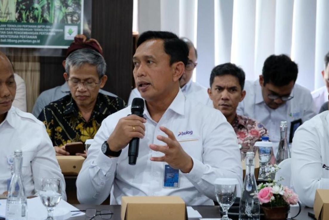 Bulog Dorong Diversifikasi Pangan dan Stabilisasi Harga dalam Pembahasan RUU Pangan