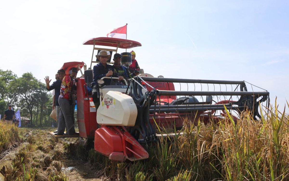 Panen Padi Hasil Budidaya Mandiri, BULOG Terapkan Smart Farming di Karawang