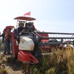 Panen Padi Hasil Budidaya Mandiri, BULOG Terapkan Smart Farming di Karawang
