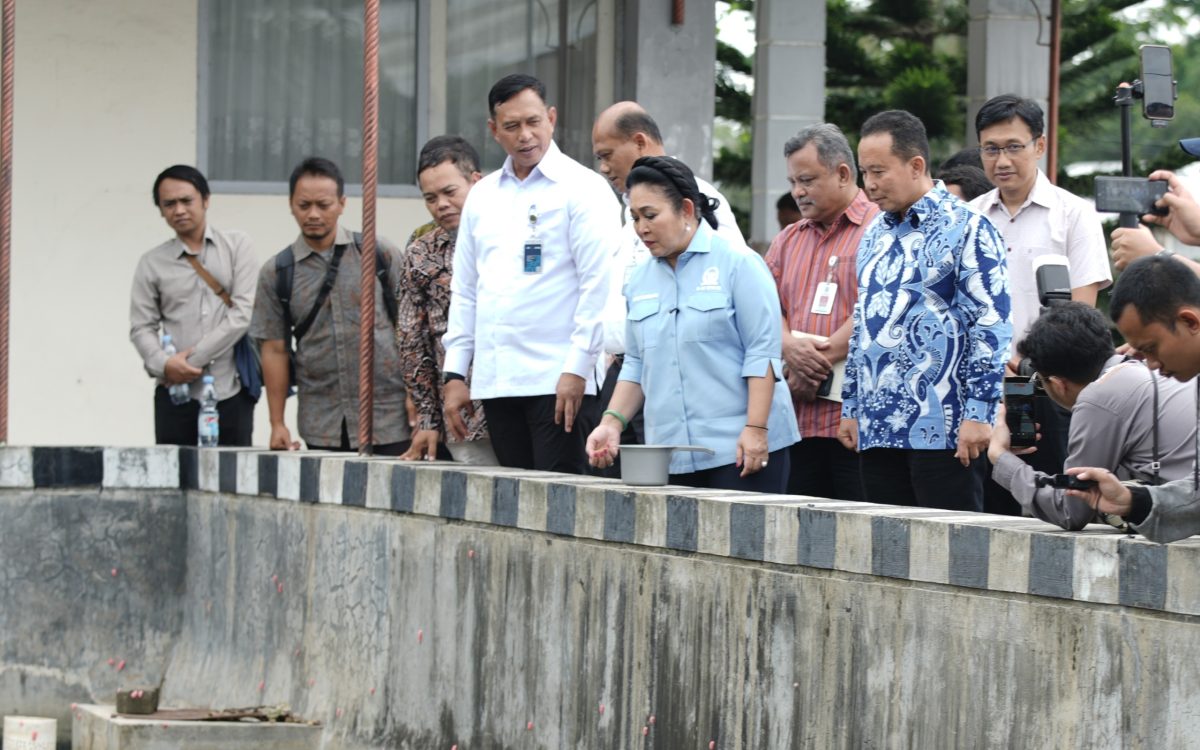 BULOG Dukung Swasembada Pangan Nasional melalui Penguatan Produksi Perikanan dan Susu Sapi Lokal