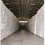 Stok Beras Aman Jabar Jelang Nataru, Bulog Kantongi 590 Ribu Ton