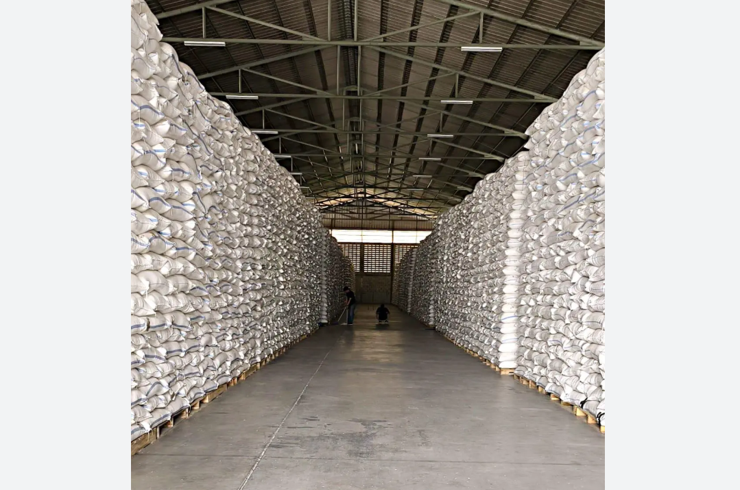 Stok Beras Aman Jabar Jelang Nataru, Bulog Kantongi 590 Ribu Ton