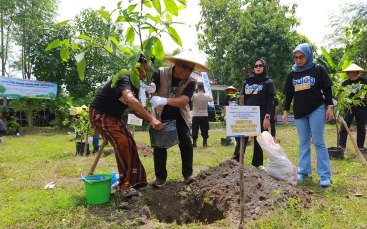 Dukung Konservasi, Bulog Kembangkan Jambu Air Camplong di Sampang