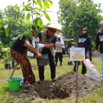 Dukung Konservasi, Bulog Kembangkan Jambu Air Camplong di Sampang
