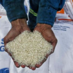 Momentum Nataru, Bos Bulog Pastikan Harga Beras di Bawah HET