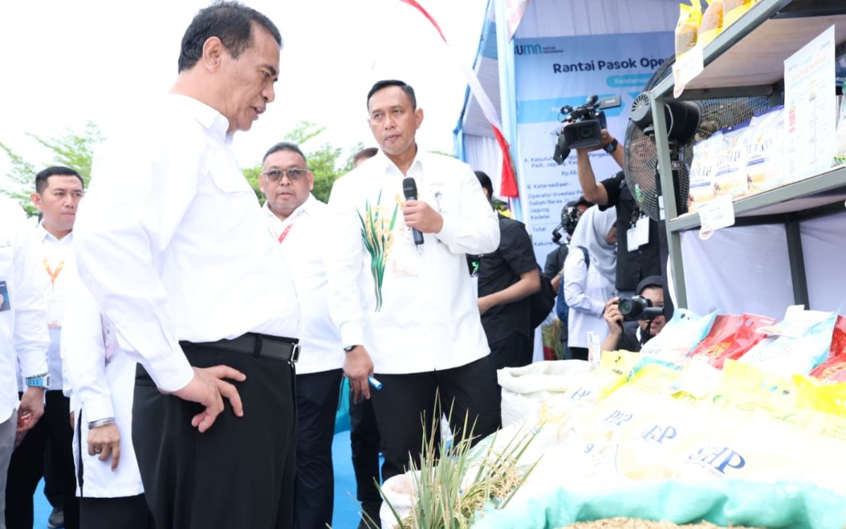 BULOG Kawal Keberhasilan Swasembada Pangan dan Pecahkan Rekor Penyerapan Gabah