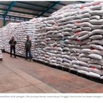 Stok Beras Capai 19 Ribu Ton, Stok Pangan Jambi Tercukupi hingga 5 Bulan ke Depan