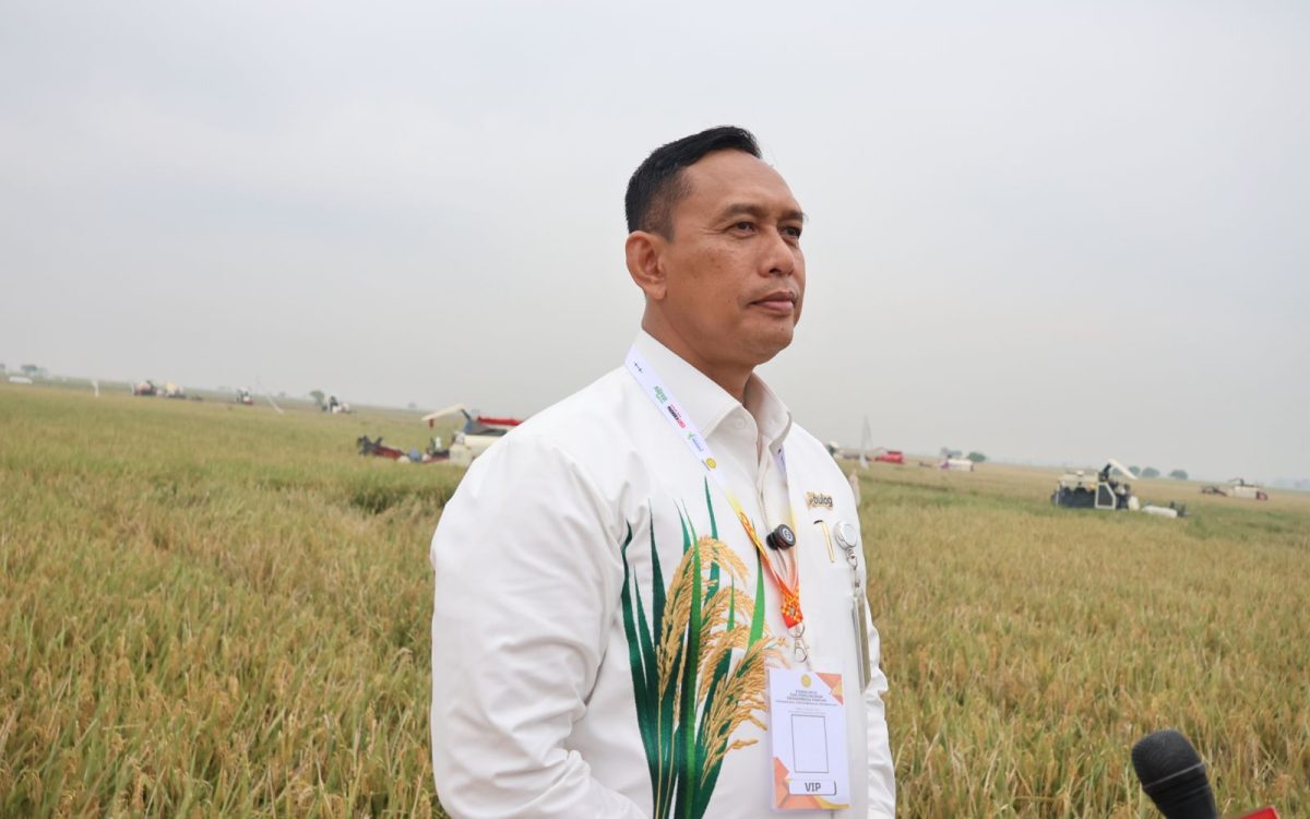 BULOG Seluruh Indonesia Mulai Serap Gabah dan Beras Dalam Negeri di Awal 2026