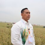 BULOG Seluruh Indonesia Mulai Serap Gabah dan Beras Dalam Negeri di Awal 2026
