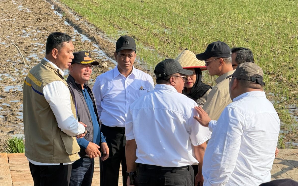 BULOG & BAPANAS Dapat Apresiasi Mendagri atas Peran Strategis Stabilisasi Harga di Wilayah Terdampak Bencana