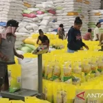 Bulog Salurkan 20.567 ton Beras SPHP Ke Seluruh Papua Pada Januari 2026