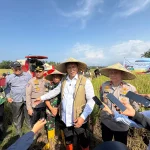 BULOG Mulai Serapan Gabah 2026 dari NTB, Target Capai 4 Juta Ton Setara Beras Nasional