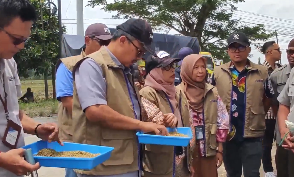 BULOG Serap Gabah Petani Terdampak Banjir di Grobogan