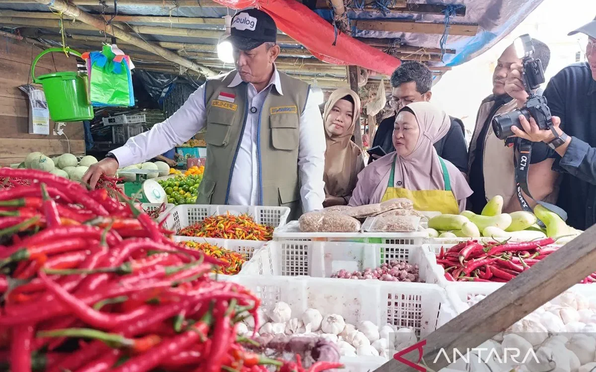 Dirut BULOG: Pengawasan Rutin Harga Pangan Jaga Daya Beli Masyarakat