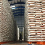 BULOG Pastikan Stok Beras Nasional Aman di Tengah Gejolak Timur Tengah