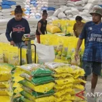 BULOG Siapkan 4.100 Ton Beras Bantuan Pangan Bagi Papua