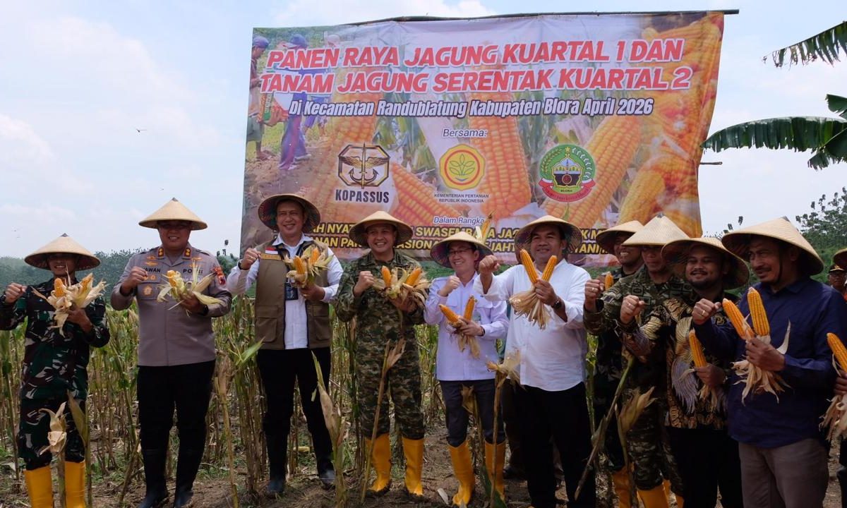 BULOG DUKUNG PANEN RAYA JAGUNG KUARTAL I DAN TANAM SERENTAK KUARTAL II DI BLORA, PERKUAT SWASEMBADA PANGAN NASIONAL