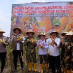 BULOG DUKUNG PANEN RAYA JAGUNG KUARTAL I DAN TANAM SERENTAK KUARTAL II DI BLORA, PERKUAT SWASEMBADA PANGAN NASIONAL