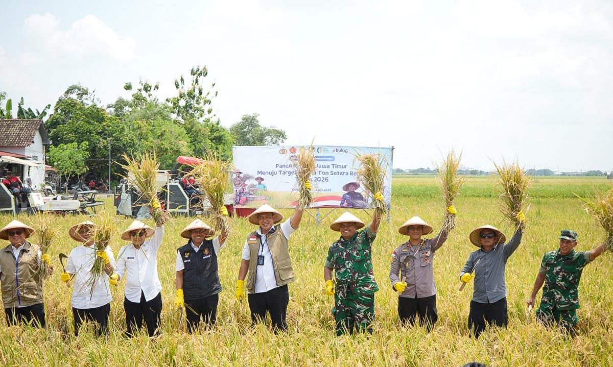Dirut BULOG Panen Raya di Jawa Timur, Optimistis Mendukung Capaian Target 4 Juta Ton Setara Beras Tahun 2026