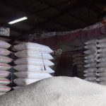 BULOG Klaim Stok Beras Aman hingga 11 Bulan meski El Nino Mengancam